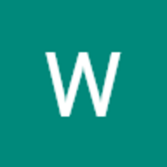 wfrye295